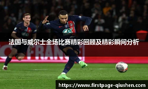 法国与威尔士全场比赛精彩回顾及精彩瞬间分析